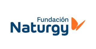 Colingua provides simultaneous translation at the Naturgy conference