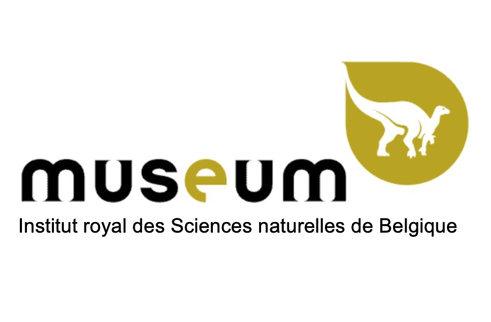 Bureau de traduction spécialisé pour les musées