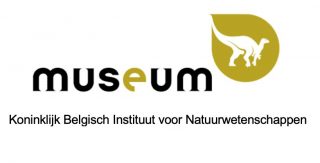 Vertaalbureau voor musea uit Brussel en Limburg