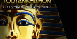 Colingua translates the Tutankhamun exhibition in Liège